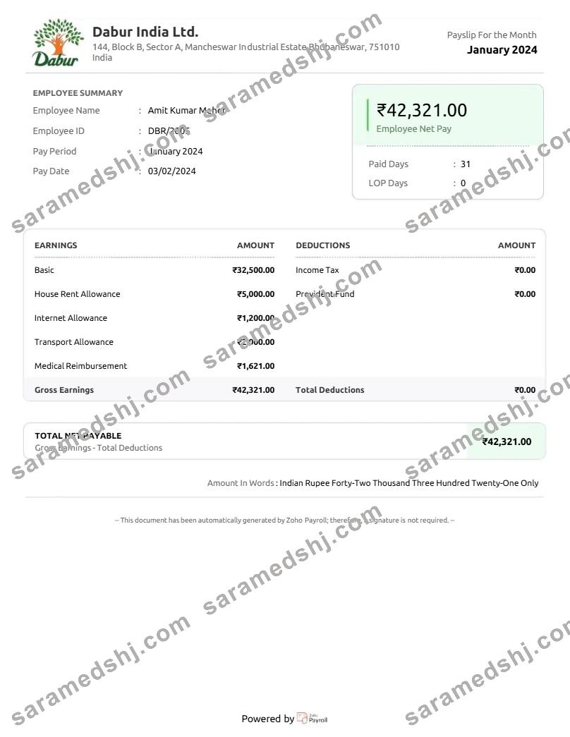 Dabur India goods company payslip template in Word and PDF formats.pdf, 1